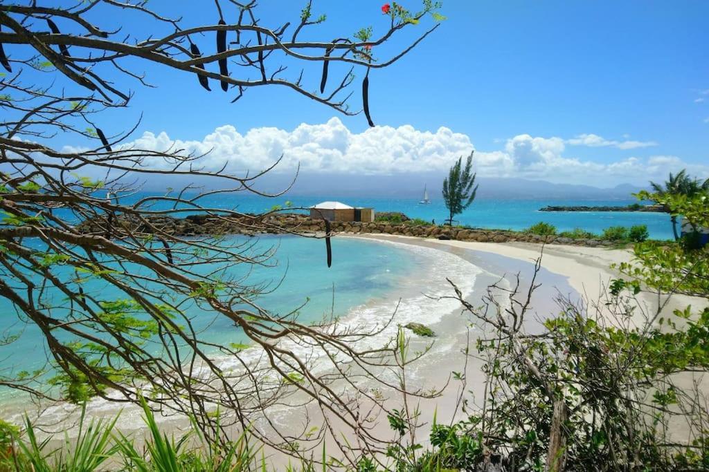 Bord De - Papiyon