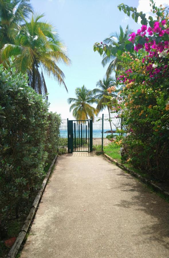 Bord De - Papiyon *